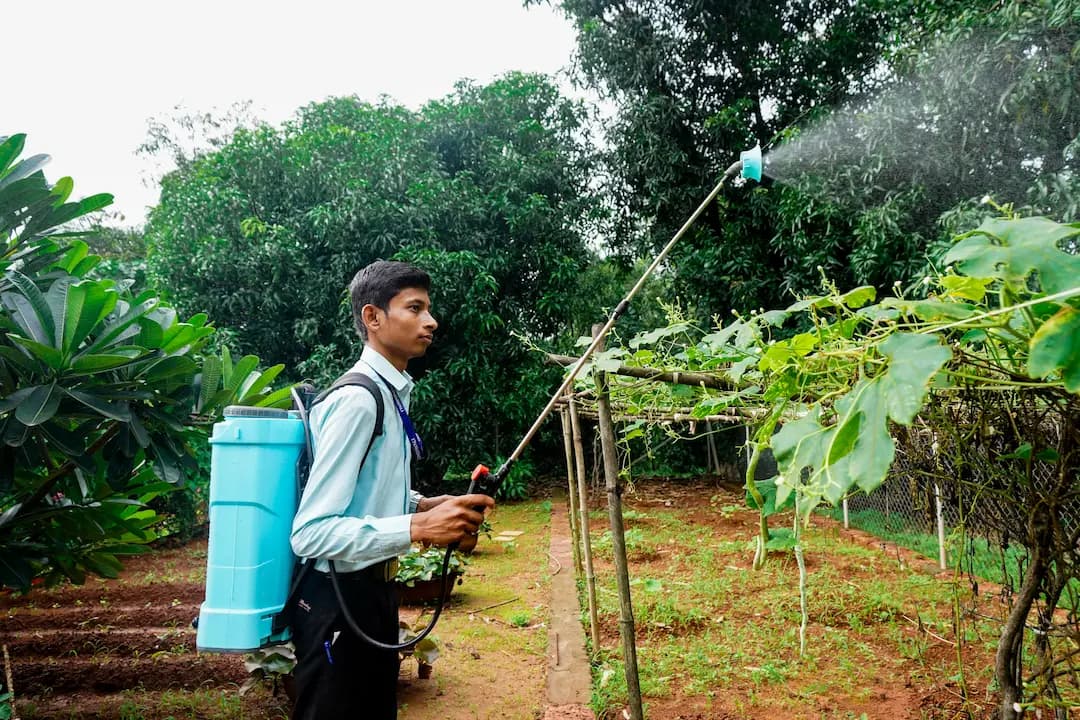 Field Practice Session