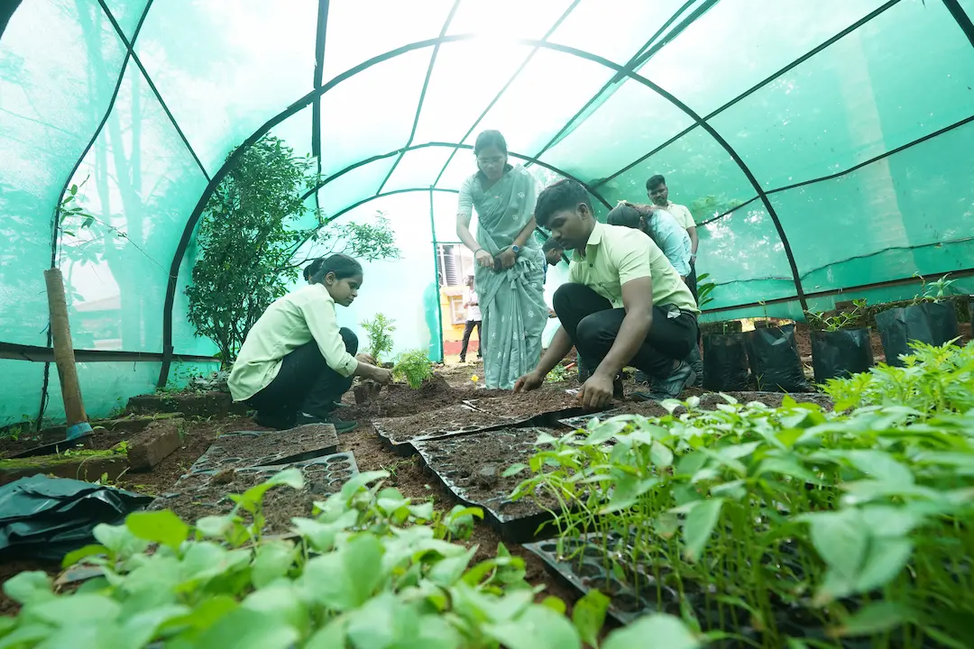 Faculty-Guided Training